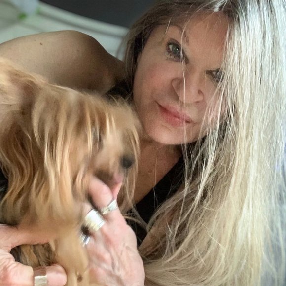 Meet your posher & Guinevere Yorkie! - Picture 12 of 16